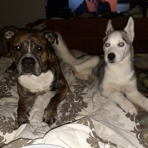 Meet your Posher, Melanie